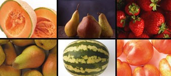La Frutta del ferrarese