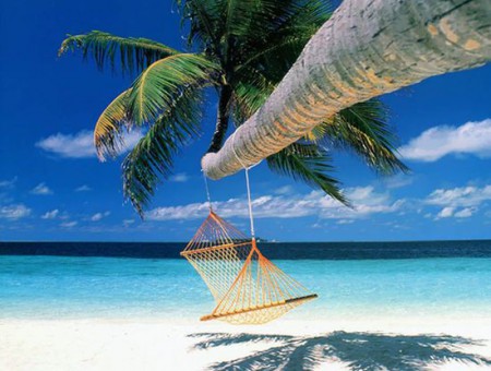 Relax Relax Relax