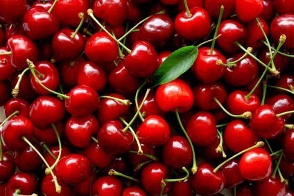 Vigneti e Fortezze