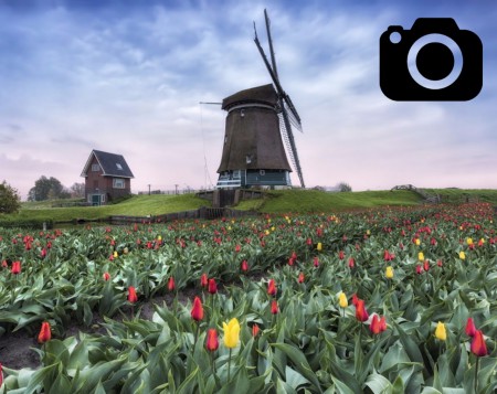 Belgio e Olanda